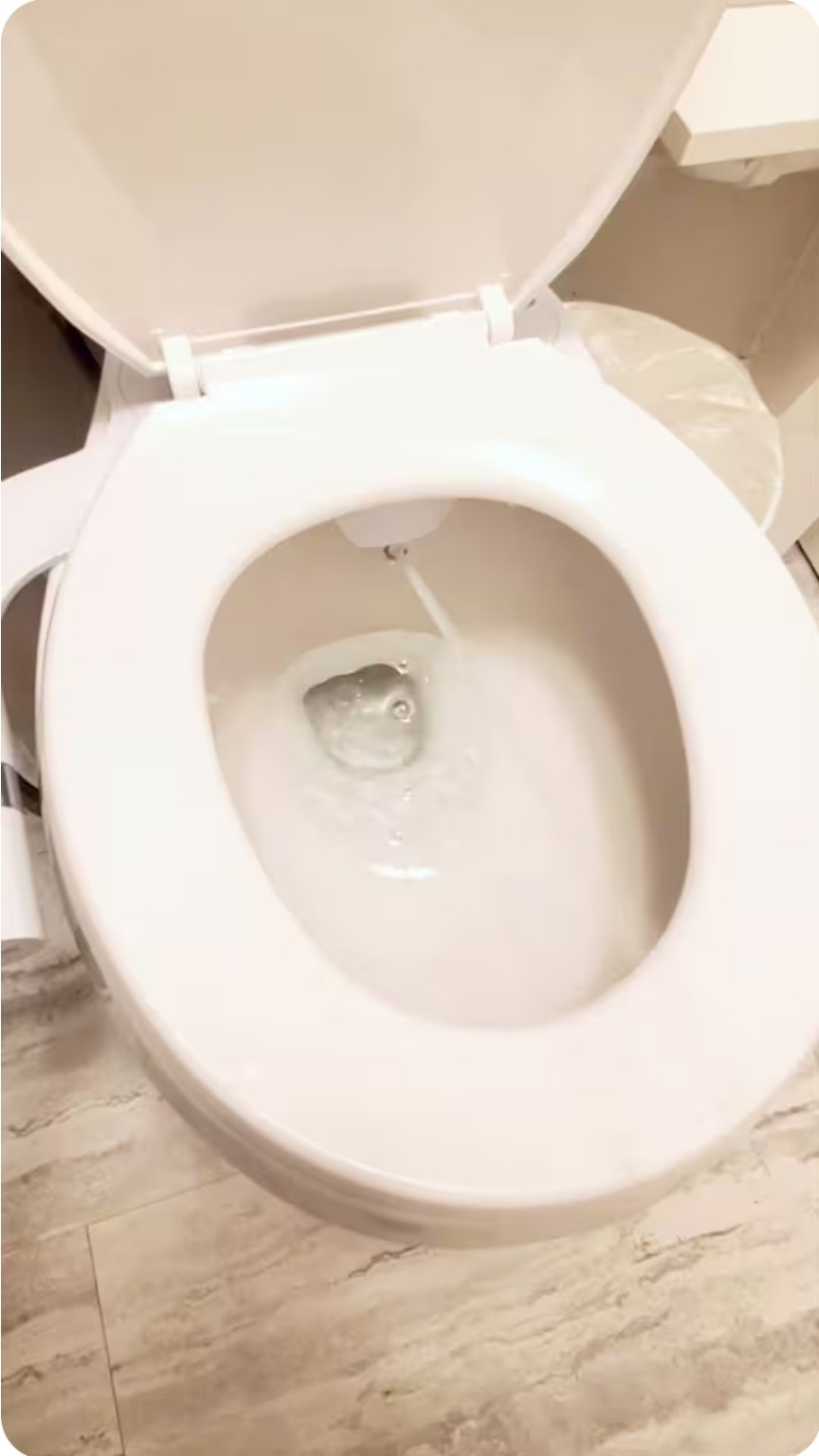 Studio toilet