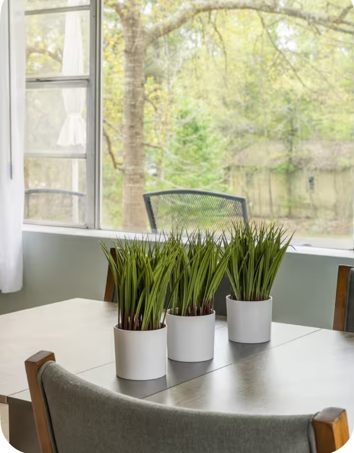 Dining area window